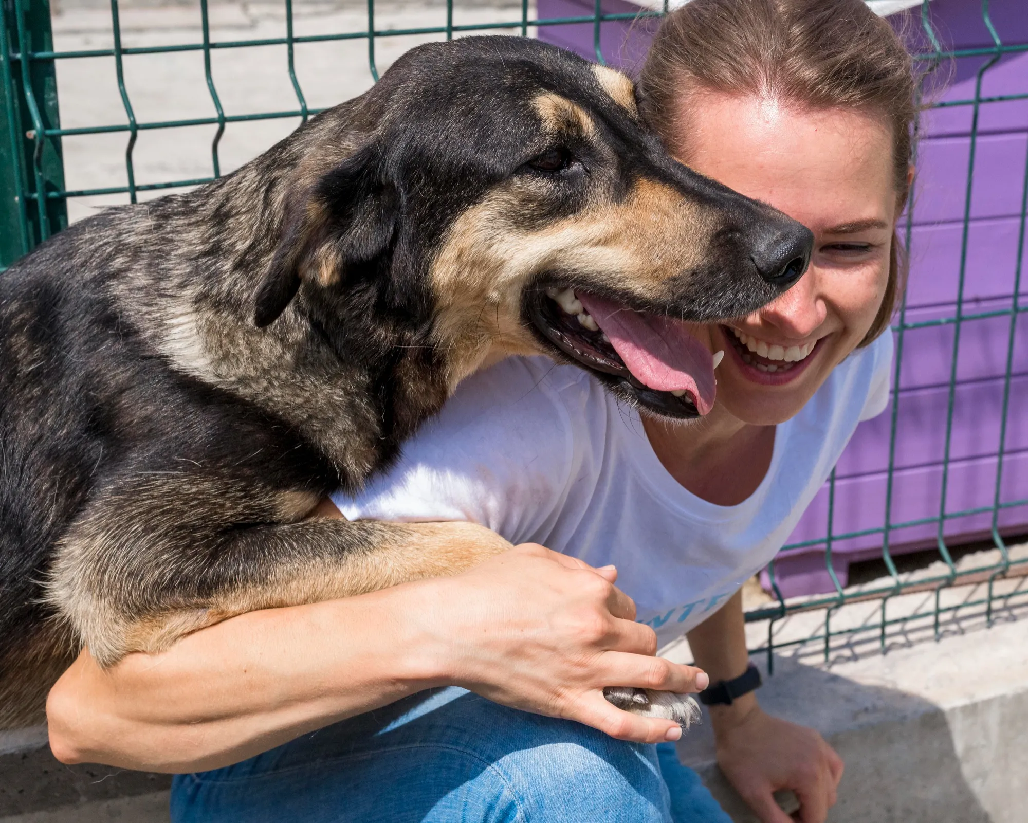 Köpek Sahiplenmeden Önce Nelere Dikkat Etmeliyim?